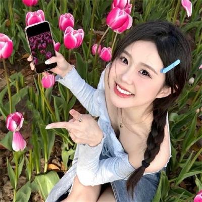 廉政追击粤语